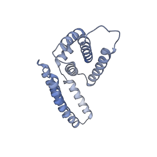22081_6x6s_EM_v1-1
Cryo-EM Structure of the Helicobacter pylori OMC