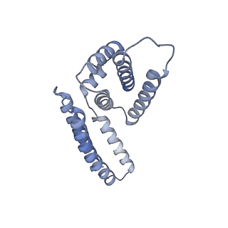 22081_6x6s_EM_v1-2
Cryo-EM Structure of the Helicobacter pylori OMC