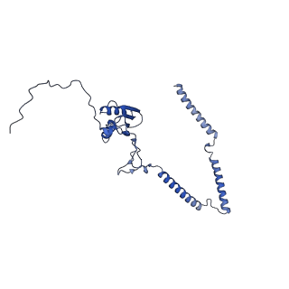 22081_6x6s_ET_v1-1
Cryo-EM Structure of the Helicobacter pylori OMC