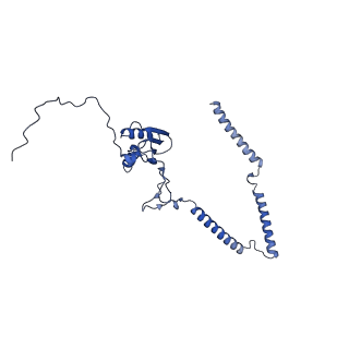 22081_6x6s_ET_v1-2
Cryo-EM Structure of the Helicobacter pylori OMC