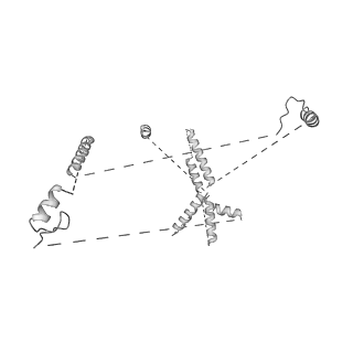 22081_6x6s_EU_v1-2
Cryo-EM Structure of the Helicobacter pylori OMC