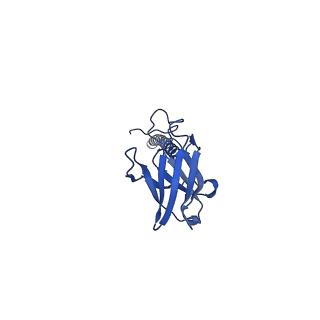 22081_6x6s_EX_v1-1
Cryo-EM Structure of the Helicobacter pylori OMC