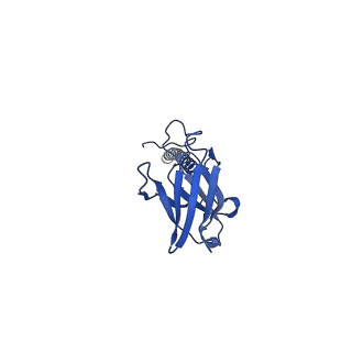 22081_6x6s_EX_v1-2
Cryo-EM Structure of the Helicobacter pylori OMC