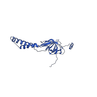 22081_6x6s_EY_v1-1
Cryo-EM Structure of the Helicobacter pylori OMC