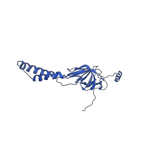 22081_6x6s_EY_v1-2
Cryo-EM Structure of the Helicobacter pylori OMC