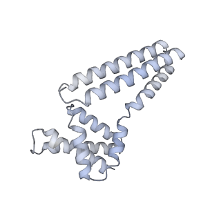 22081_6x6s_Em_v1-1
Cryo-EM Structure of the Helicobacter pylori OMC