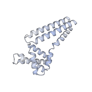 22081_6x6s_Em_v1-2
Cryo-EM Structure of the Helicobacter pylori OMC