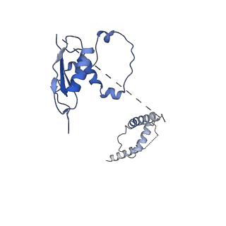 22081_6x6s_Et_v1-1
Cryo-EM Structure of the Helicobacter pylori OMC