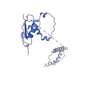 22081_6x6s_Et_v1-2
Cryo-EM Structure of the Helicobacter pylori OMC