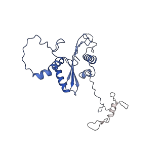 22081_6x6s_FA_v1-1
Cryo-EM Structure of the Helicobacter pylori OMC