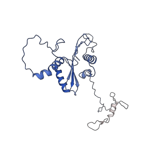 22081_6x6s_FA_v1-2
Cryo-EM Structure of the Helicobacter pylori OMC