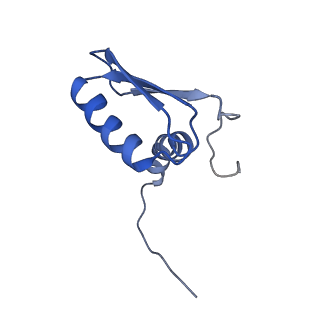 22081_6x6s_FB_v1-1
Cryo-EM Structure of the Helicobacter pylori OMC