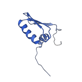 22081_6x6s_FB_v1-2
Cryo-EM Structure of the Helicobacter pylori OMC