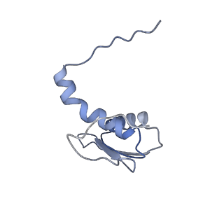 22081_6x6s_FC_v1-1
Cryo-EM Structure of the Helicobacter pylori OMC