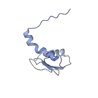 22081_6x6s_FC_v1-2
Cryo-EM Structure of the Helicobacter pylori OMC