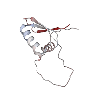 22081_6x6s_FD_v1-1
Cryo-EM Structure of the Helicobacter pylori OMC
