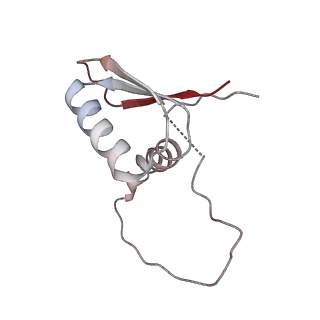 22081_6x6s_FD_v1-2
Cryo-EM Structure of the Helicobacter pylori OMC