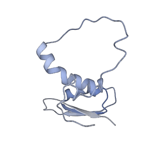 22081_6x6s_FE_v1-1
Cryo-EM Structure of the Helicobacter pylori OMC