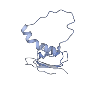 22081_6x6s_FE_v1-2
Cryo-EM Structure of the Helicobacter pylori OMC