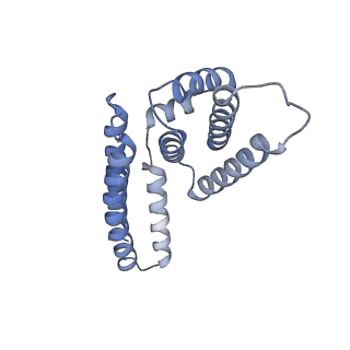 22081_6x6s_FM_v1-1
Cryo-EM Structure of the Helicobacter pylori OMC