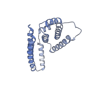 22081_6x6s_FM_v1-2
Cryo-EM Structure of the Helicobacter pylori OMC