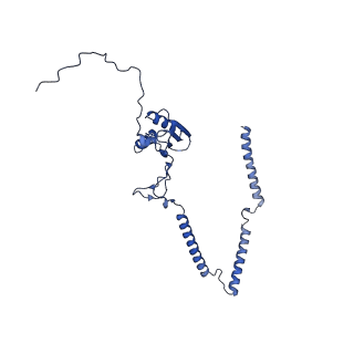 22081_6x6s_FT_v1-1
Cryo-EM Structure of the Helicobacter pylori OMC