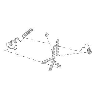 22081_6x6s_FU_v1-2
Cryo-EM Structure of the Helicobacter pylori OMC