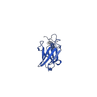 22081_6x6s_FX_v1-1
Cryo-EM Structure of the Helicobacter pylori OMC