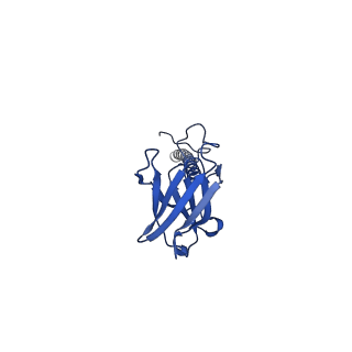 22081_6x6s_FX_v1-2
Cryo-EM Structure of the Helicobacter pylori OMC