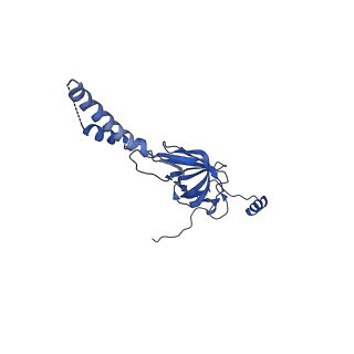 22081_6x6s_FY_v1-1
Cryo-EM Structure of the Helicobacter pylori OMC