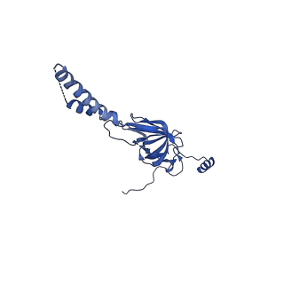 22081_6x6s_FY_v1-2
Cryo-EM Structure of the Helicobacter pylori OMC