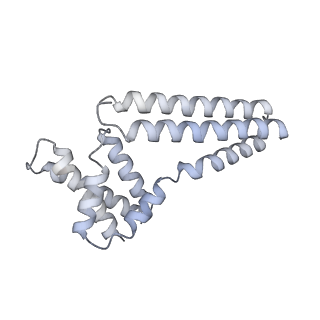 22081_6x6s_Fm_v1-1
Cryo-EM Structure of the Helicobacter pylori OMC