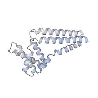 22081_6x6s_Fm_v1-2
Cryo-EM Structure of the Helicobacter pylori OMC