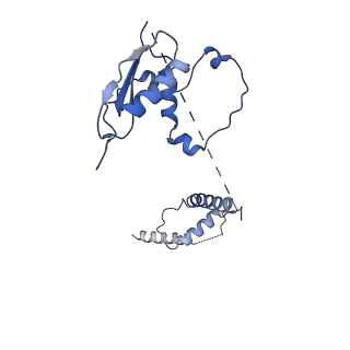 22081_6x6s_Ft_v1-1
Cryo-EM Structure of the Helicobacter pylori OMC