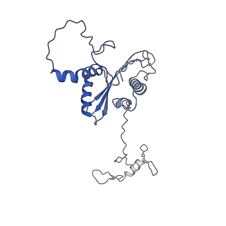 22081_6x6s_GA_v1-1
Cryo-EM Structure of the Helicobacter pylori OMC