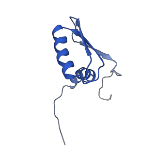 22081_6x6s_GB_v1-1
Cryo-EM Structure of the Helicobacter pylori OMC