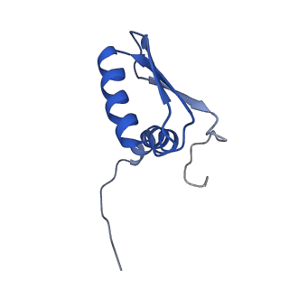 22081_6x6s_GB_v1-2
Cryo-EM Structure of the Helicobacter pylori OMC