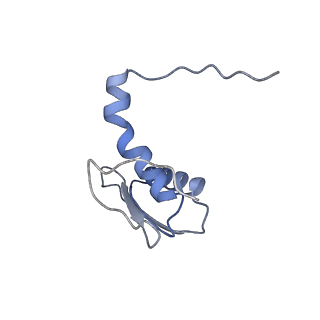 22081_6x6s_GC_v1-1
Cryo-EM Structure of the Helicobacter pylori OMC