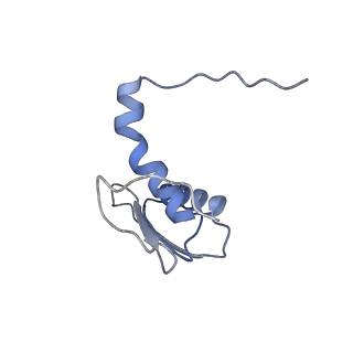 22081_6x6s_GC_v1-2
Cryo-EM Structure of the Helicobacter pylori OMC