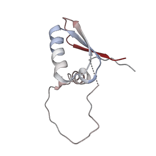 22081_6x6s_GD_v1-1
Cryo-EM Structure of the Helicobacter pylori OMC