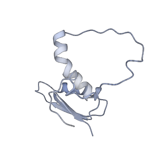 22081_6x6s_GE_v1-1
Cryo-EM Structure of the Helicobacter pylori OMC