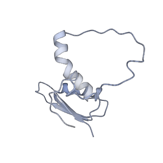 22081_6x6s_GE_v1-2
Cryo-EM Structure of the Helicobacter pylori OMC