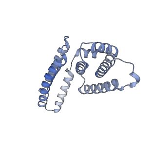 22081_6x6s_GM_v1-1
Cryo-EM Structure of the Helicobacter pylori OMC