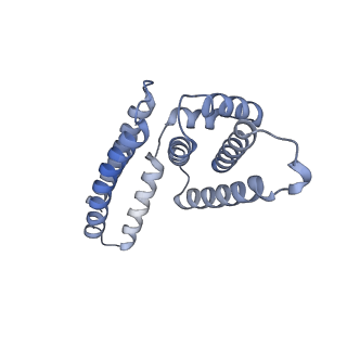 22081_6x6s_GM_v1-2
Cryo-EM Structure of the Helicobacter pylori OMC