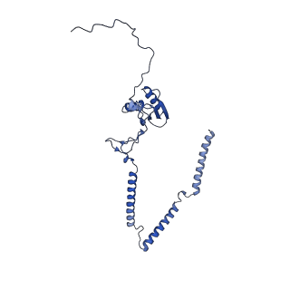22081_6x6s_GT_v1-1
Cryo-EM Structure of the Helicobacter pylori OMC