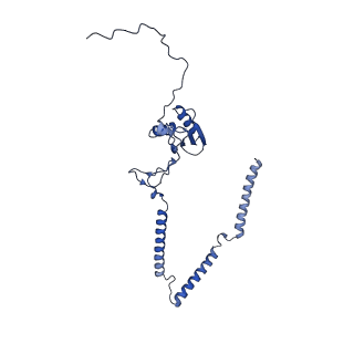 22081_6x6s_GT_v1-2
Cryo-EM Structure of the Helicobacter pylori OMC