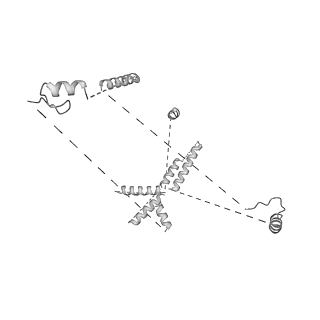 22081_6x6s_GU_v1-2
Cryo-EM Structure of the Helicobacter pylori OMC