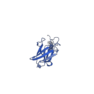 22081_6x6s_GX_v1-1
Cryo-EM Structure of the Helicobacter pylori OMC