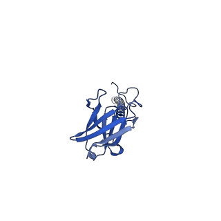 22081_6x6s_GX_v1-2
Cryo-EM Structure of the Helicobacter pylori OMC