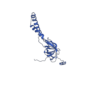 22081_6x6s_GY_v1-1
Cryo-EM Structure of the Helicobacter pylori OMC